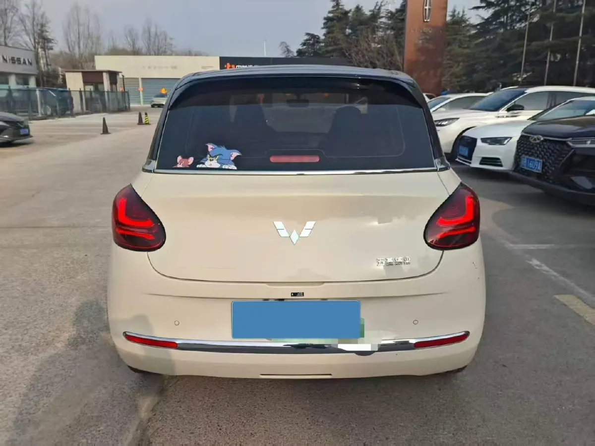 2025 WuLing BinGuo BEV,autocango,china used car exporter,china ev exporter,chinese used car exporter,chinese used ev exporter