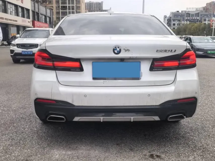 2022 BMW 5 Series 2.0T 252HP L4 8AT,autocango,china used car exporter,china ev exporter,chinese used car exporter,chinese used ev exporter