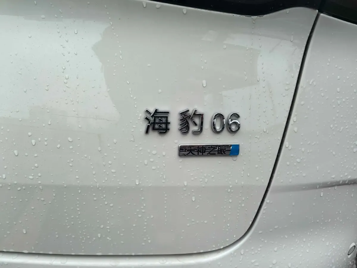2025 BYD Seal 06 Wagon 1.5L 101HP L4 E-CVT PHEV,autocango,china used car exporter,china ev exporter,chinese used car exporter,chinese used ev exporter