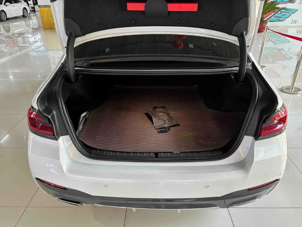 2022 BMW 5 Series 2.0T 184HP L4 8AT PHEV 17.7KWH,autocango,china used car exporter,china ev exporter,chinese used car exporter,chinese used ev exporter