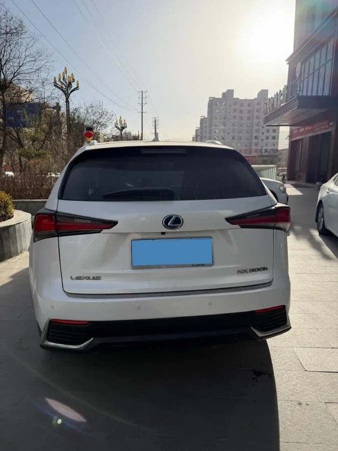 2015 Lexus NX 2.5L 155HP L4 E-CVT Hybrid,autocango,china used car exporter,china ev exporter,chinese used car exporter,chinese used ev exporter