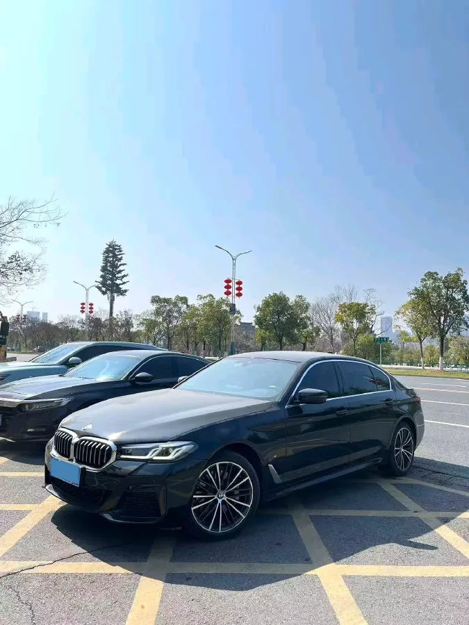 2022 BMW 5 Series 2.0T 252HP L4 8AT,autocango,china used car exporter,china ev exporter,chinese used car exporter,chinese used ev exporter
