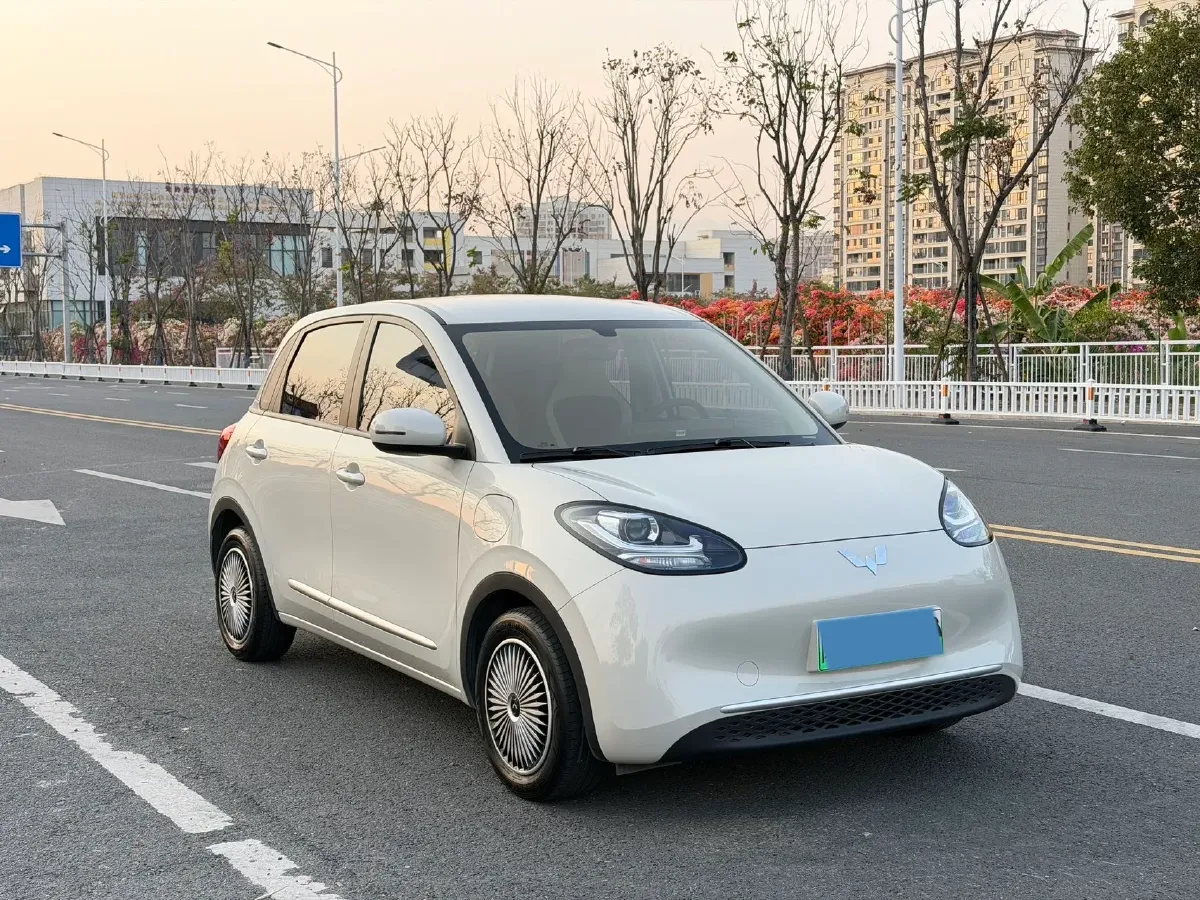 2023 WuLing BinGuo BEV 17.3KWH,autocango,china used car exporter,china ev exporter,chinese used car exporter,chinese used ev exporter