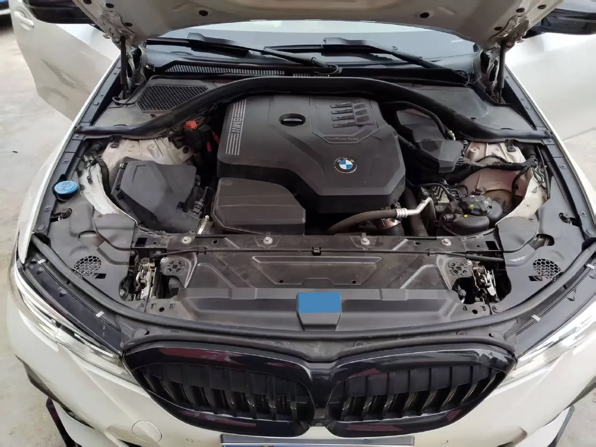 2021 BMW 3 Series 2.0T 184HP L4 8AT,autocango,china used car exporter,china ev exporter,chinese used car exporter,chinese used ev exporter