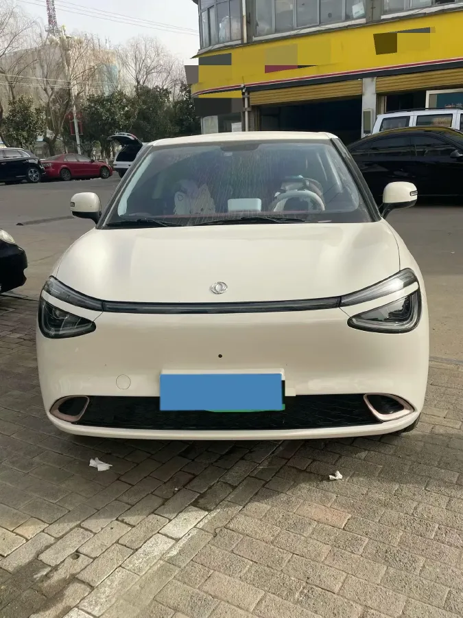 2024 DongFeng eπ 01 BEV 31.45KWH,autocango,china used car exporter,china ev exporter,chinese used car exporter,chinese used ev exporter