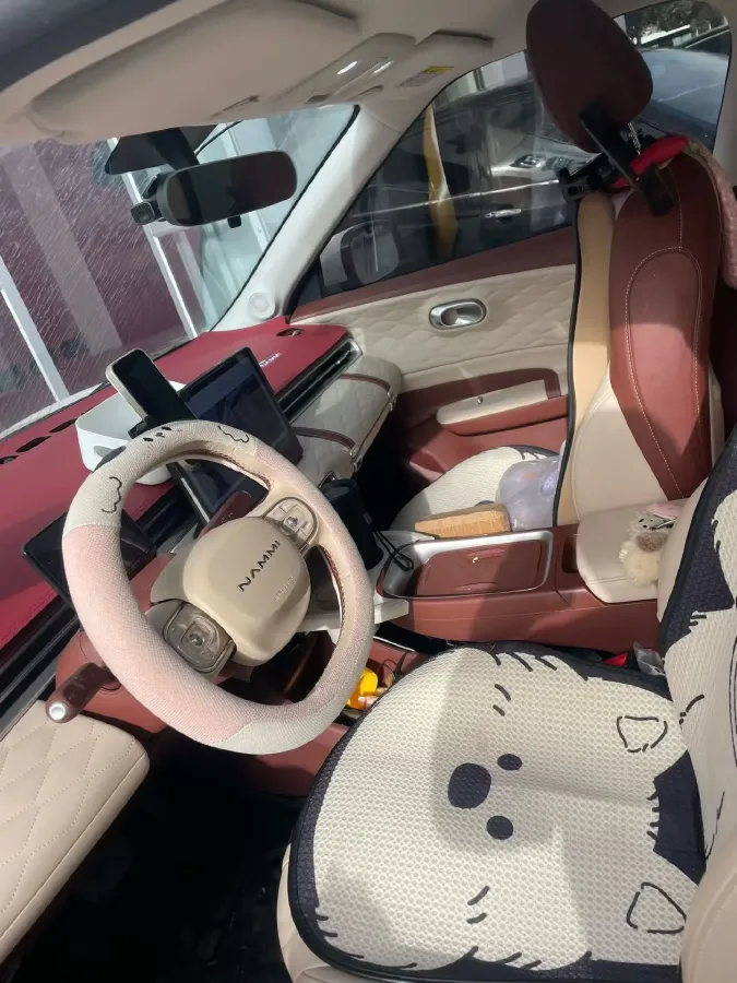 2024 DongFeng eπ 01 BEV 31.45KWH,autocango,china used car exporter,china ev exporter,chinese used car exporter,chinese used ev exporter