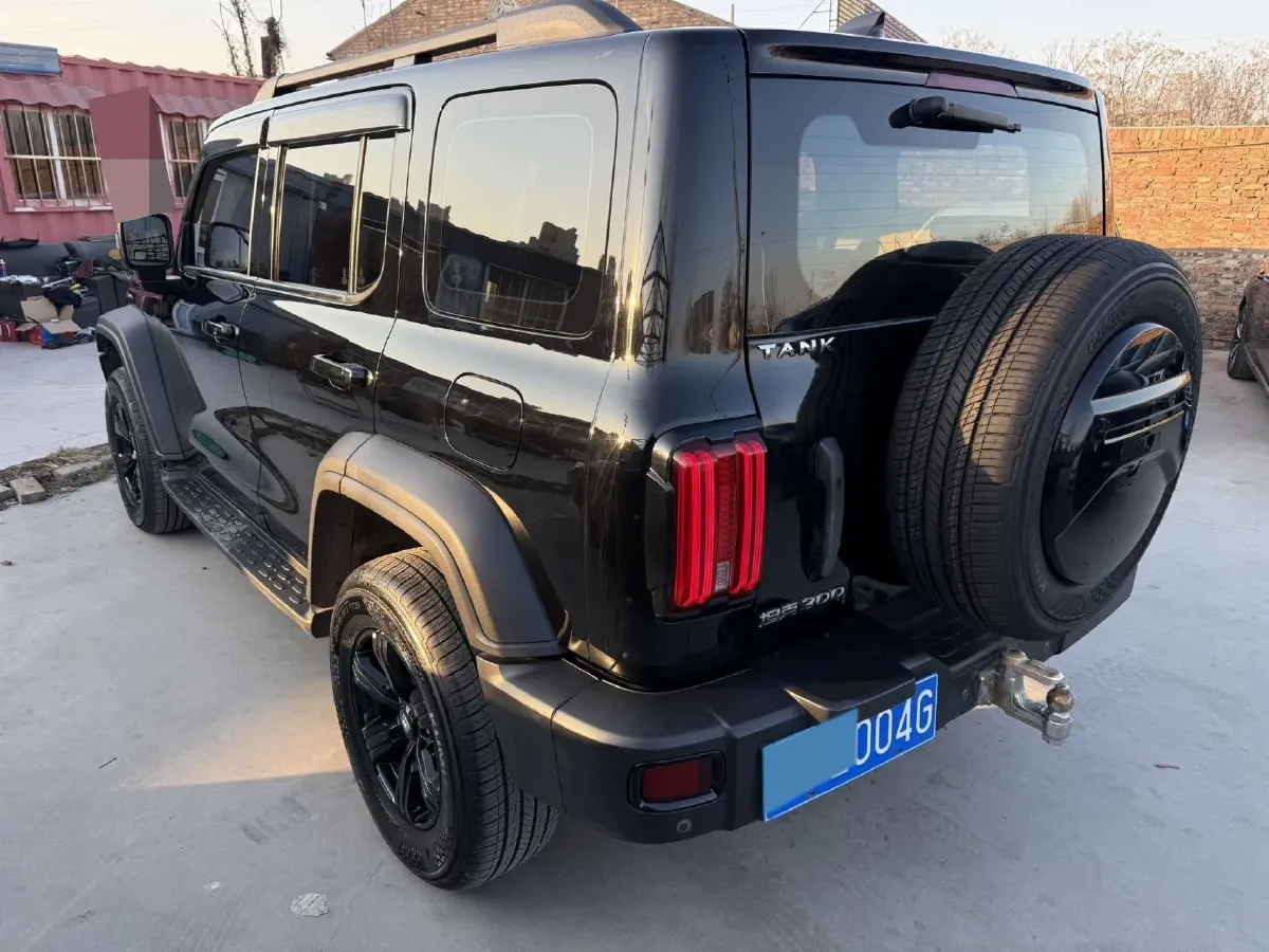 2021 Tank 300 2.0T 227HP L4 8AT,autocango,china used car exporter,china ev exporter,chinese used car exporter,chinese used ev exporter