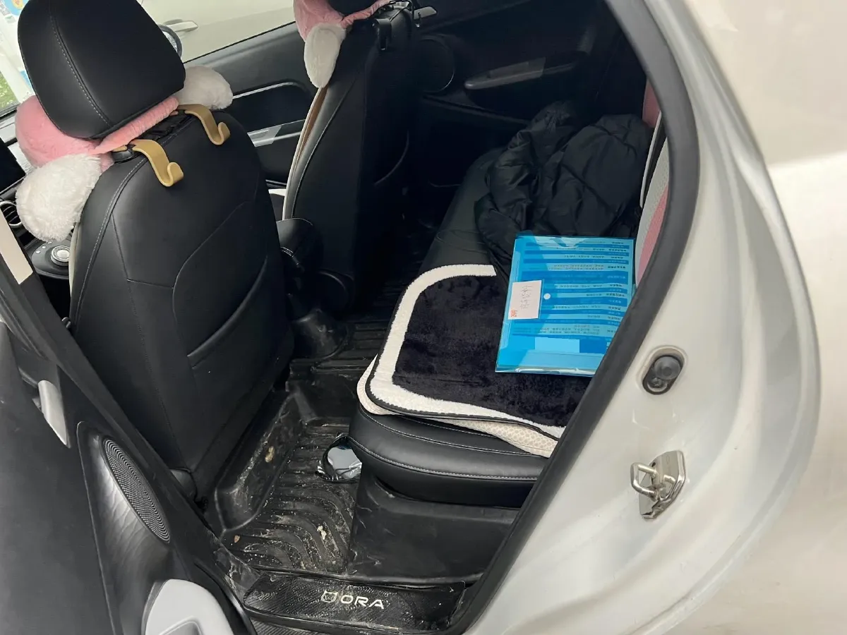 2021 Ora BlackCat BEV 33KWH,autocango,china used car exporter,china ev exporter,chinese used car exporter,chinese used ev exporter