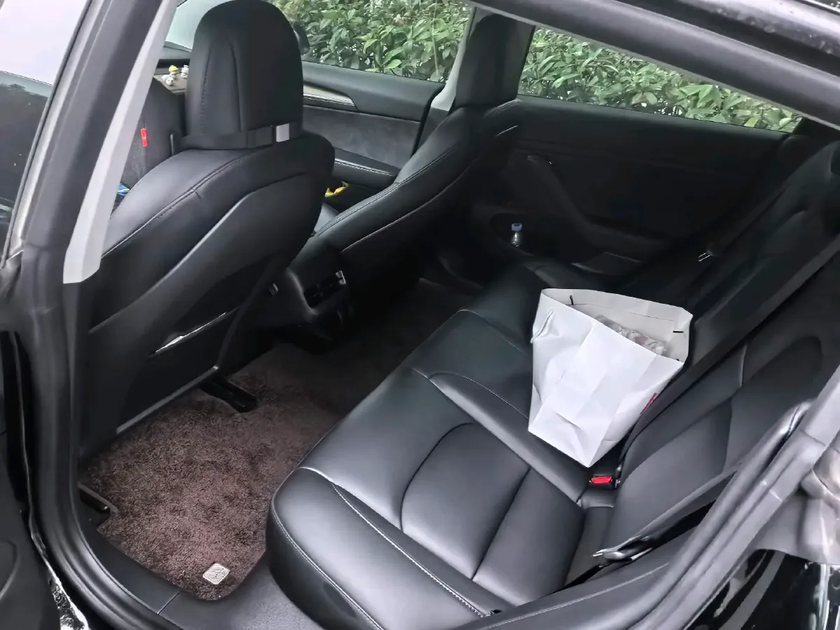 2021 Tesla Model 3 BEV 55KWH,autocango,china used car exporter,china ev exporter,chinese used car exporter,chinese used ev exporter