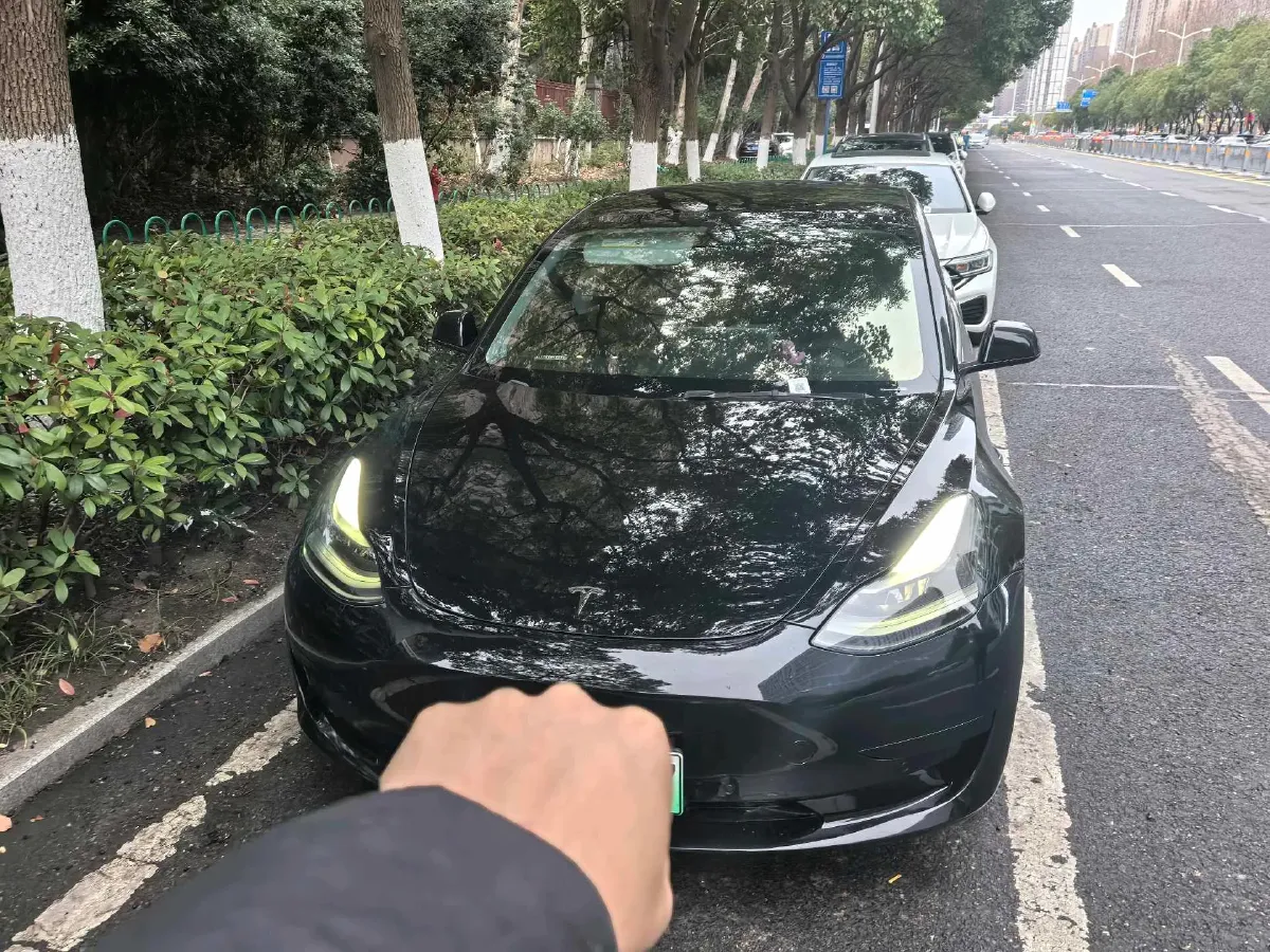 2021 Tesla Model 3 BEV 55KWH,autocango,china used car exporter,china ev exporter,chinese used car exporter,chinese used ev exporter