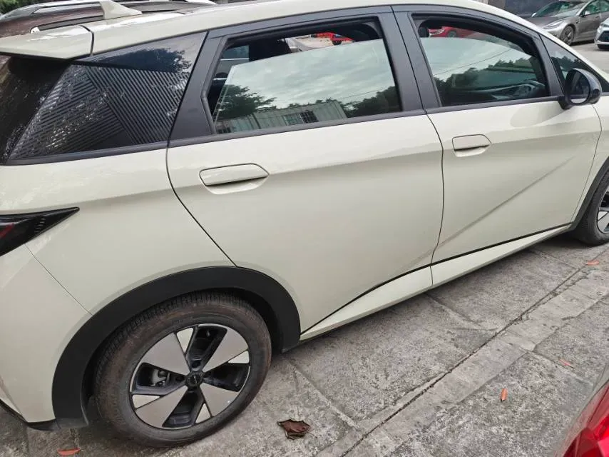 2023 BYD Dolphin BEV 44.928KWH,autocango,china used car exporter,china ev exporter,chinese used car exporter,chinese used ev exporter