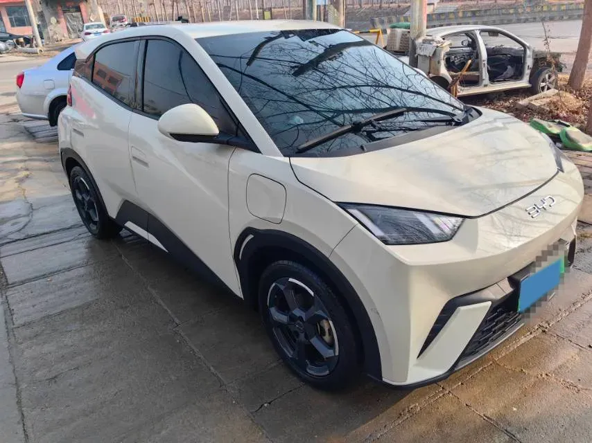 2023 BYD Seagull BEV 38.88KWH,autocango,china used car exporter,china ev exporter,chinese used car exporter,chinese used ev exporter