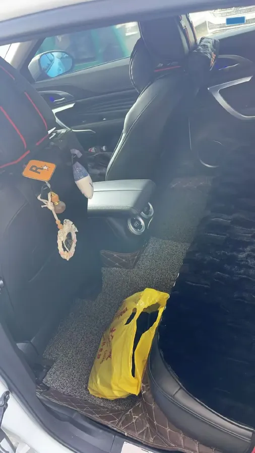 2019 WEY VV7 2.0T 234HP L4 7DCT,autocango,china used car exporter,china ev exporter,chinese used car exporter,chinese used ev exporter