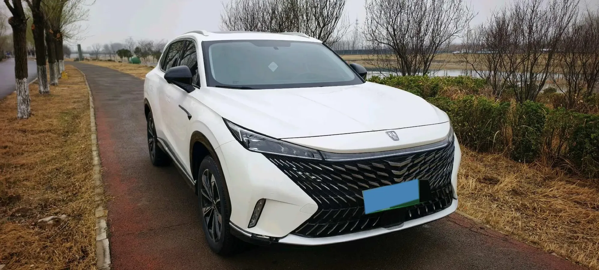 2023 Roewe RX5 1.5T 188HP L4 7DCT,autocango,china used car exporter,china ev exporter,chinese used car exporter,chinese used ev exporter