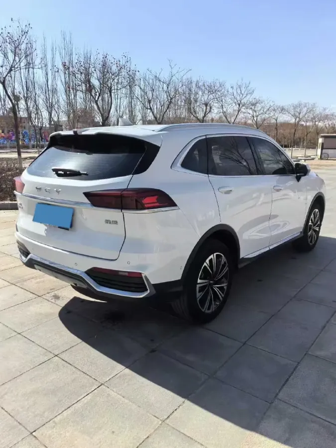 2022 WEY Latte DHT 1.5T 156HP L4 2DHT Hybrid,autocango,china used car exporter,china ev exporter,chinese used car exporter,chinese used ev exporter