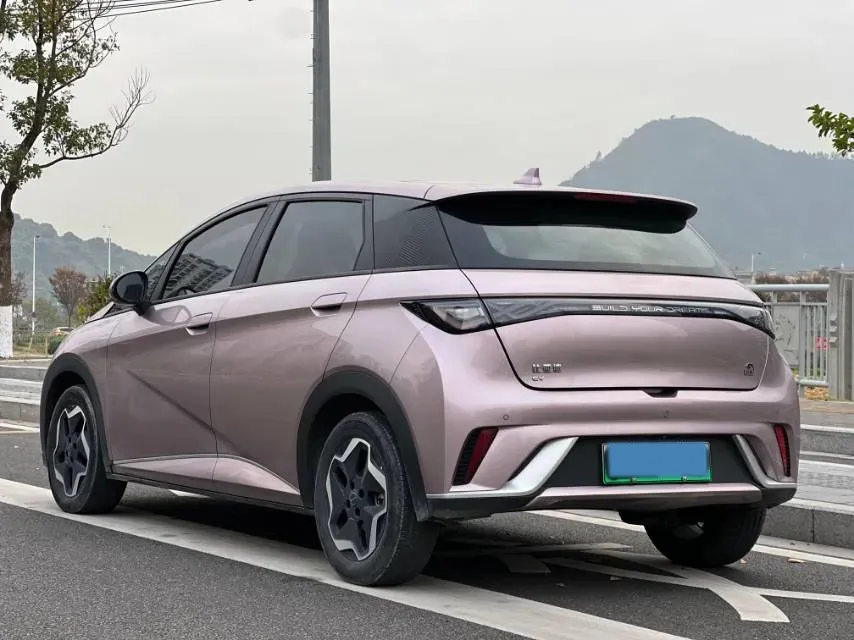 2021 BYD Yuan Pro BEV 50.1KWH,autocango,china used car exporter,china ev exporter,chinese used car exporter,chinese used ev exporter