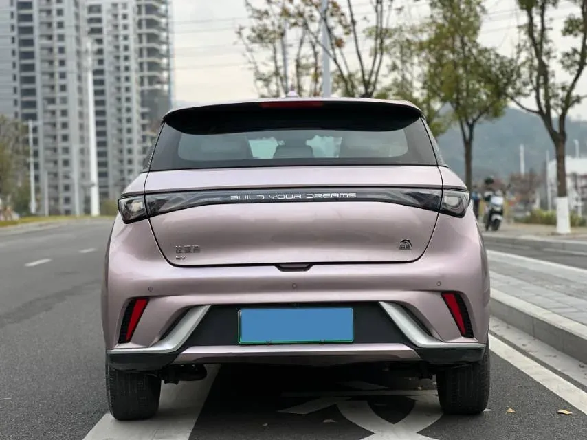 2021 BYD Yuan Pro BEV 50.1KWH,autocango,china used car exporter,china ev exporter,chinese used car exporter,chinese used ev exporter