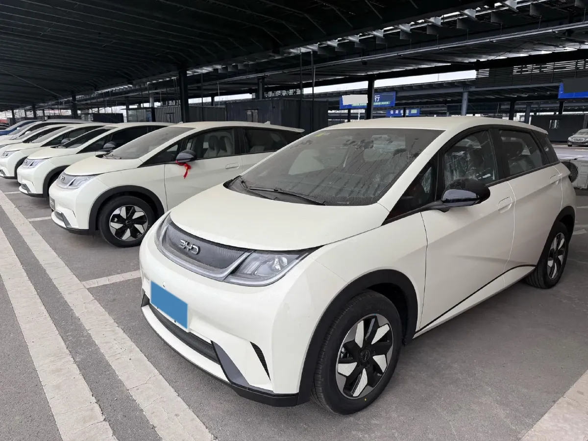 2025 BYD Dolphin BEV 44.928KWH,autocango,china used car exporter,china ev exporter,chinese used car exporter,chinese used ev exporter