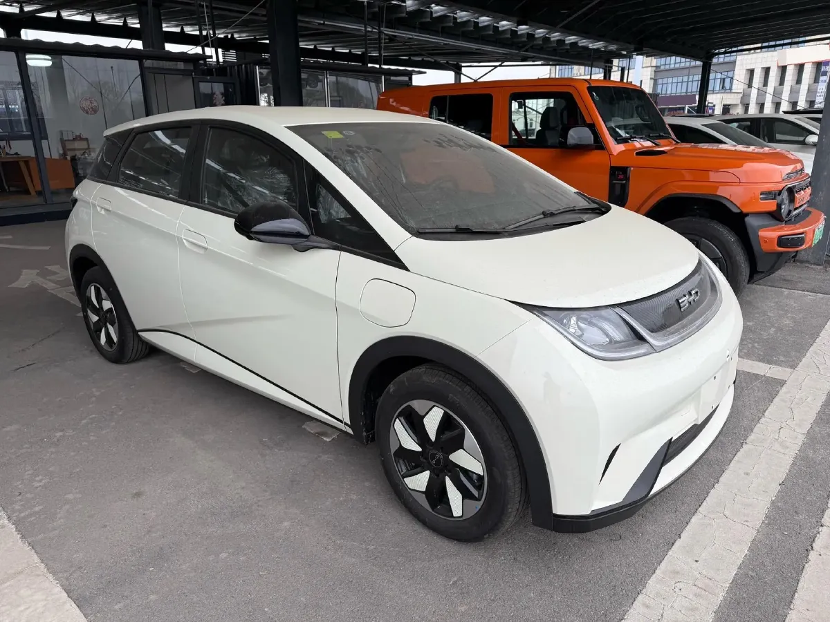 2025 BYD Dolphin BEV 44.928KWH,autocango,china used car exporter,china ev exporter,chinese used car exporter,chinese used ev exporter