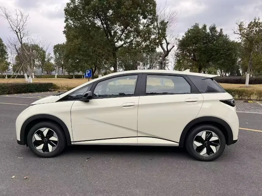 2025 BYD Dolphin BEV 44.928KWH,autocango,china used car exporter,china ev exporter,chinese used car exporter,chinese used ev exporter