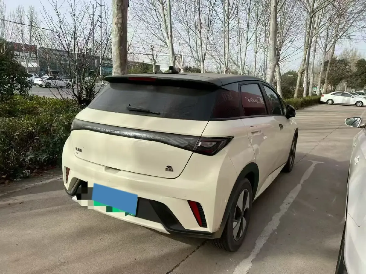 2023 BYD Dolphin BEV 44.928KWH,autocango,china used car exporter,china ev exporter,chinese used car exporter,chinese used ev exporter