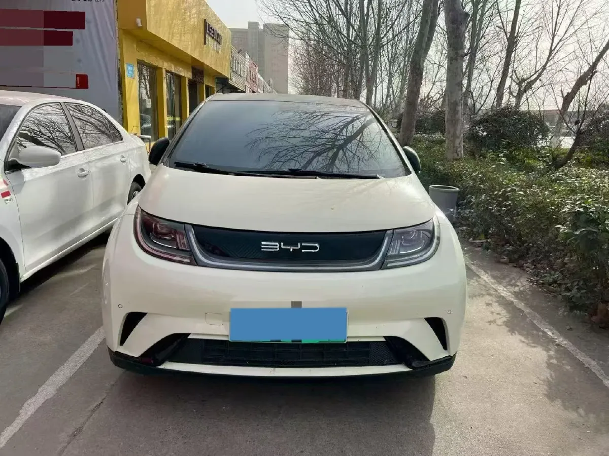 2023 BYD Dolphin BEV 44.928KWH,autocango,china used car exporter,china ev exporter,chinese used car exporter,chinese used ev exporter