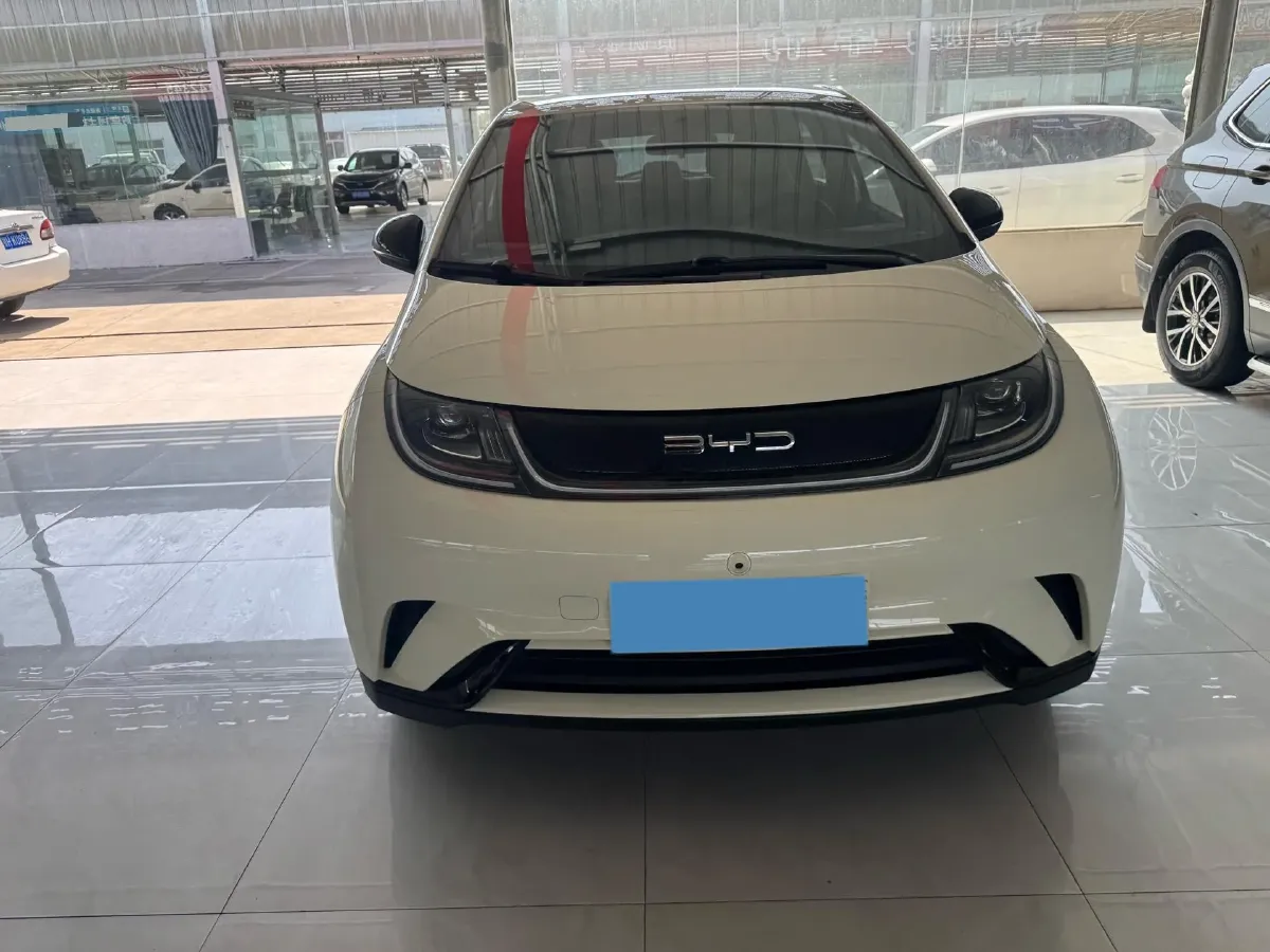 2023 BYD Dolphin BEV 44.928KWH,autocango,china used car exporter,china ev exporter,chinese used car exporter,chinese used ev exporter