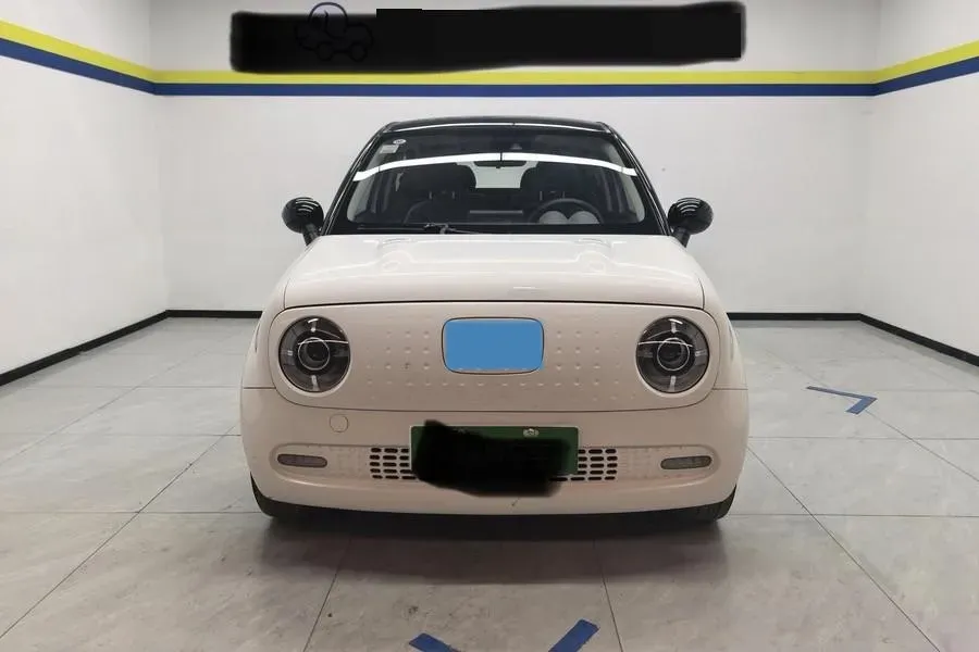 2021 Ora BlackCat BEV 33KWH,autocango,china used car exporter,china ev exporter,chinese used car exporter,chinese used ev exporter