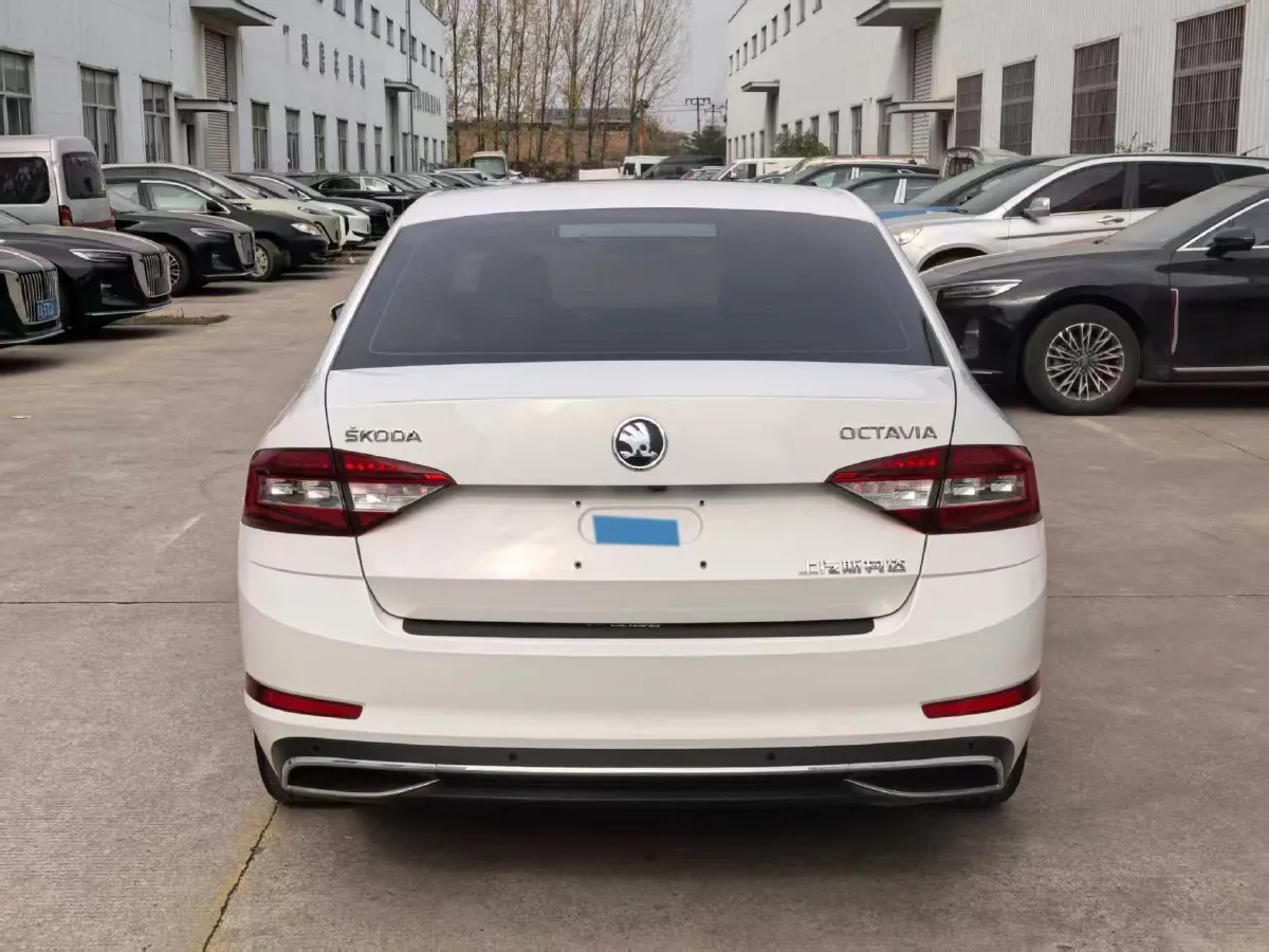2019 Skoda Octavia 1.5L 116HP L4 6AT,autocango,china used car exporter,china ev exporter,chinese used car exporter,chinese used ev exporter