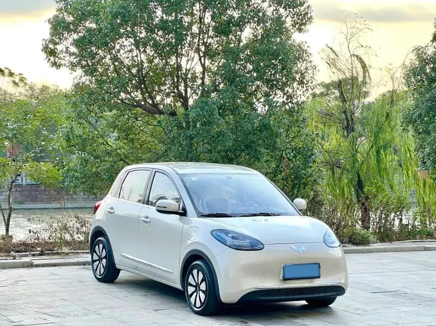 2024 WuLing BinGuo BEV 31.9KWH,autocango,china used car exporter,china ev exporter,chinese used car exporter,chinese used ev exporter