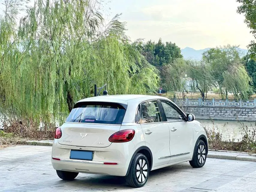 2024 WuLing BinGuo BEV 31.9KWH,autocango,china used car exporter,china ev exporter,chinese used car exporter,chinese used ev exporter