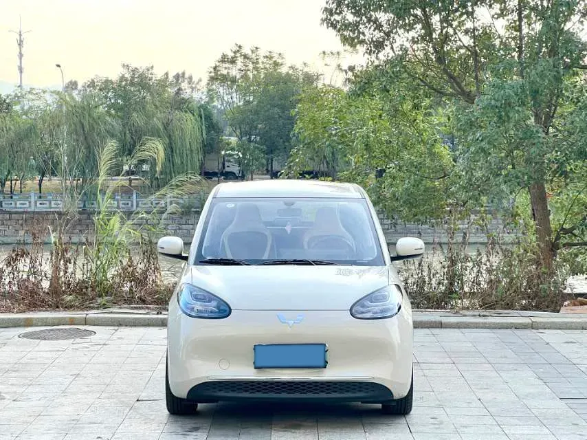 2024 WuLing BinGuo BEV 31.9KWH,autocango,china used car exporter,china ev exporter,chinese used car exporter,chinese used ev exporter