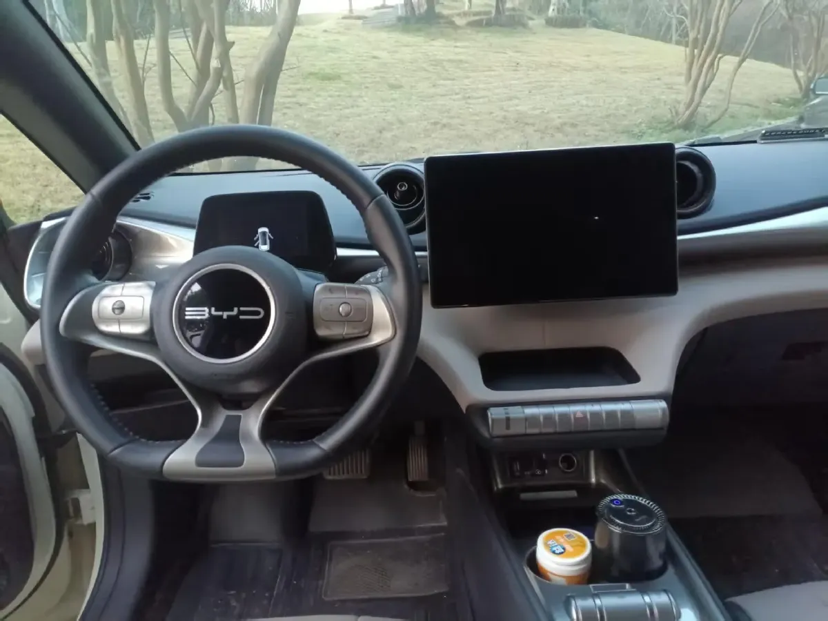 2023 BYD Dolphin BEV 44.928KWH,autocango,china used car exporter,china ev exporter,chinese used car exporter,chinese used ev exporter
