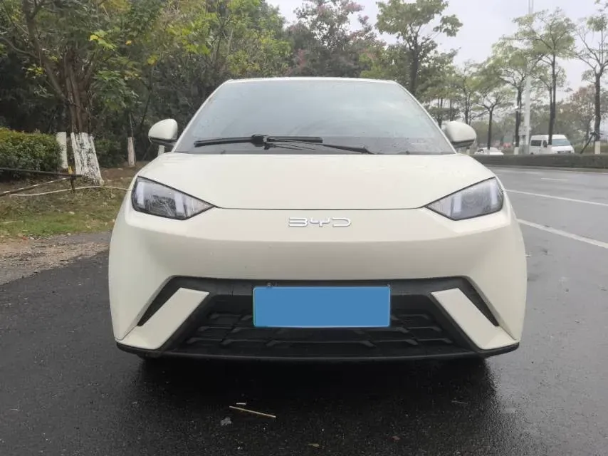 2024 BYD Seagull BEV 30.08KWH,autocango,china used car exporter,china ev exporter,chinese used car exporter,chinese used ev exporter