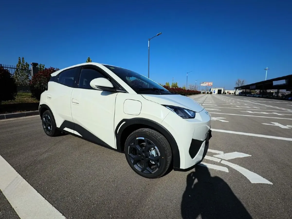 2025 BYD Seagull BEV,autocango,china used car exporter,china ev exporter,chinese used car exporter,chinese used ev exporter