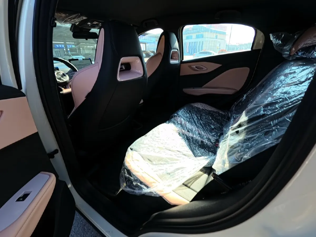 2025 BYD Seagull BEV,autocango,china used car exporter,china ev exporter,chinese used car exporter,chinese used ev exporter