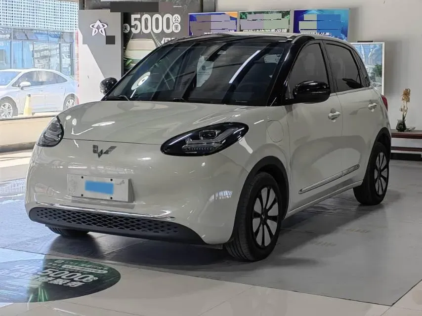 2023 WuLing BinGuo BEV 37.9KWH,autocango,china used car exporter,china ev exporter,chinese used car exporter,chinese used ev exporter