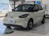 2023 WULING BINGUO,autocango,china used car exporter,china ev exporter,chinese used car exporter,chinese used ev exporter