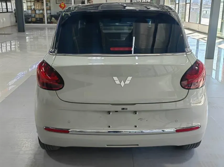 2023 WuLing BinGuo BEV 37.9KWH,autocango,china used car exporter,china ev exporter,chinese used car exporter,chinese used ev exporter
