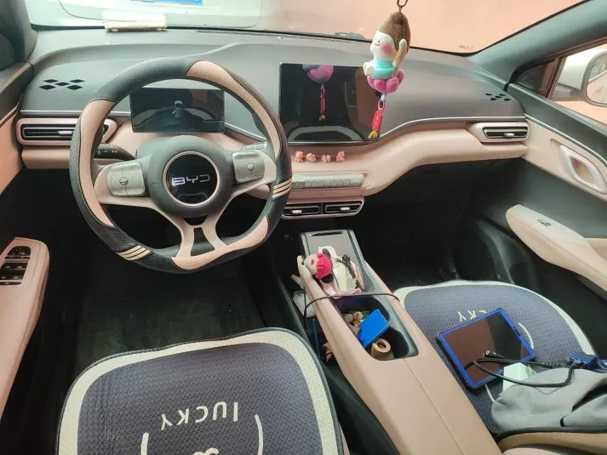 2025 BYD Seagull BEV 30.08KWH,autocango,china used car exporter,china ev exporter,chinese used car exporter,chinese used ev exporter