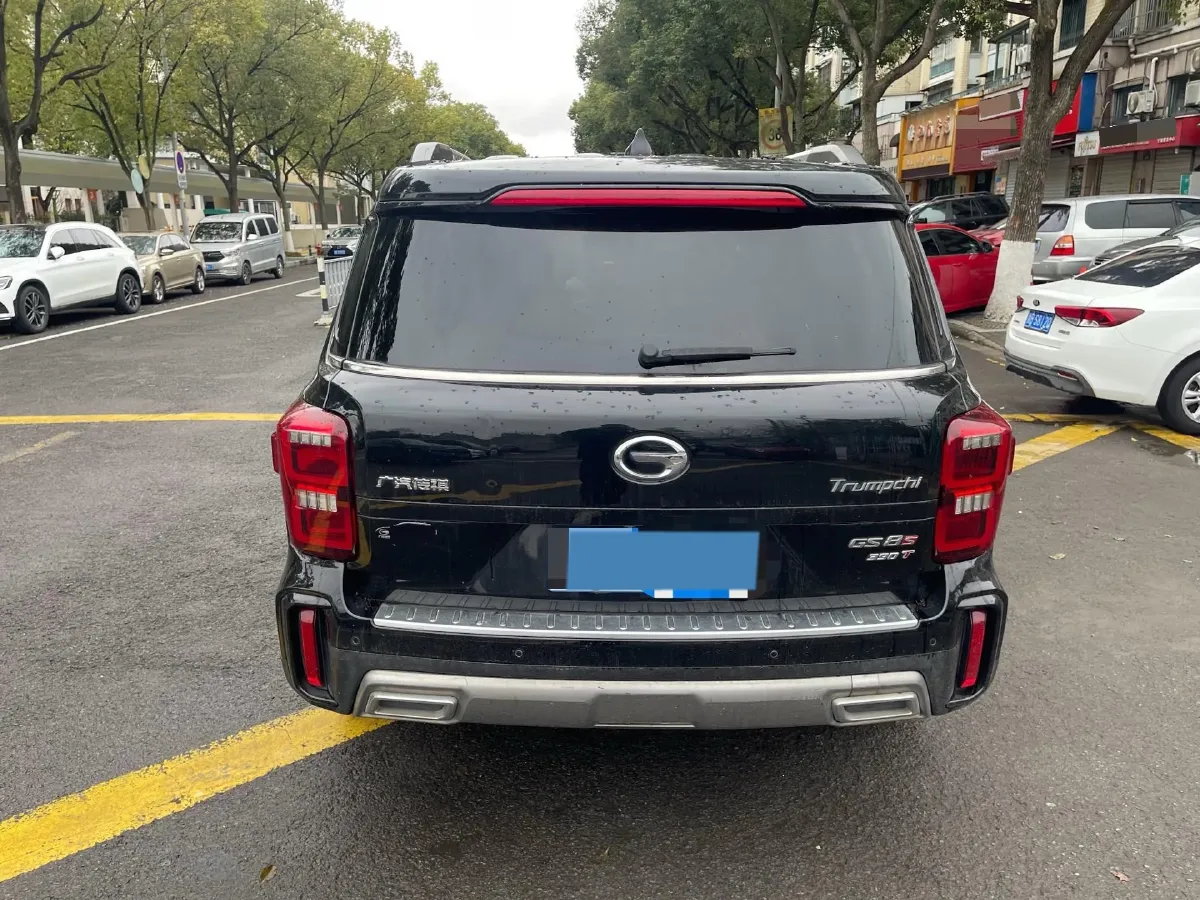 2020 GAC Trumpchi GS8 2.0T 252HP L4 6AT,autocango,china used car exporter,china ev exporter,chinese used car exporter,chinese used ev exporter