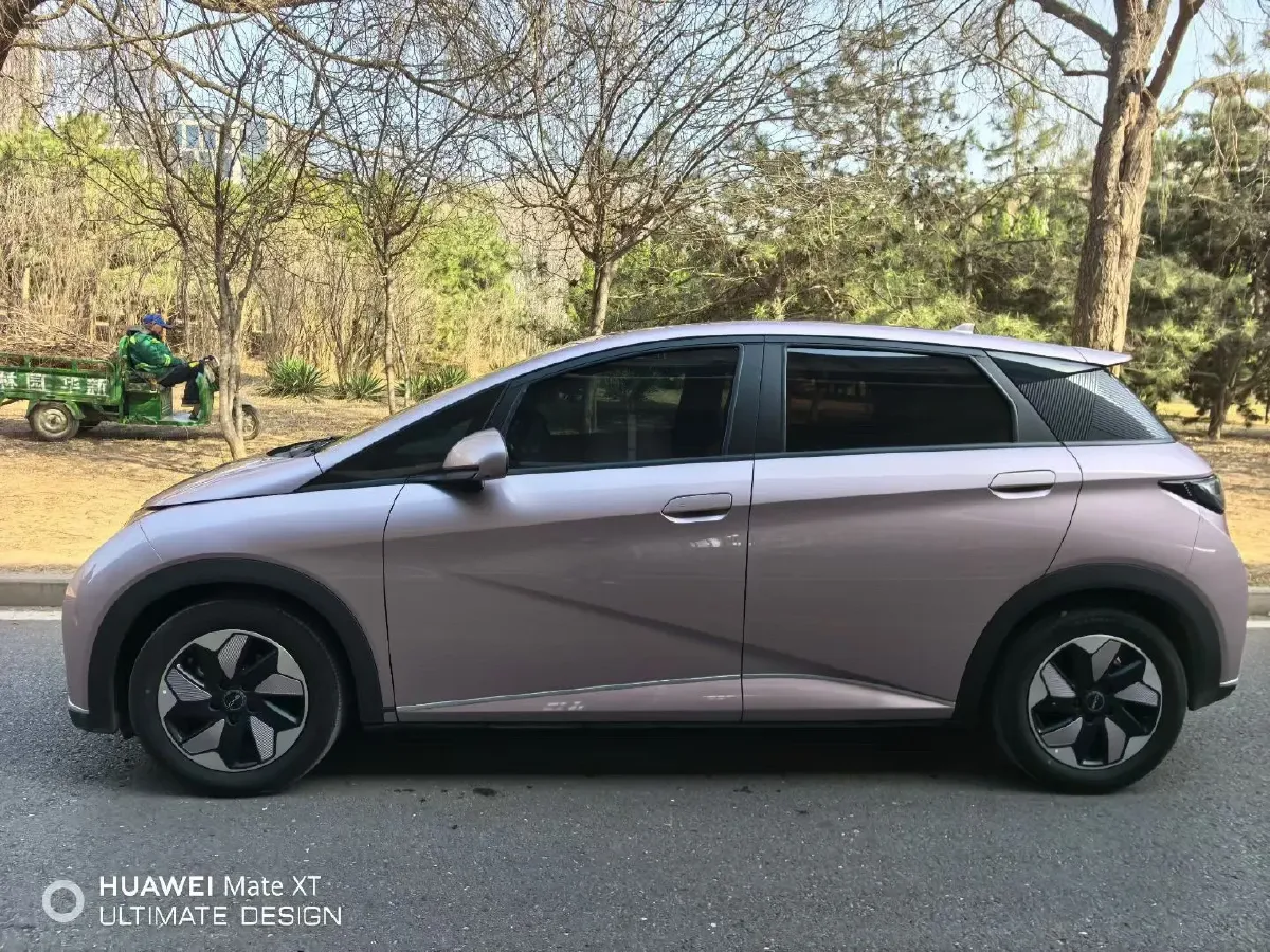 2024 BYD Dolphin BEV 44.928KWH,autocango,china used car exporter,china ev exporter,chinese used car exporter,chinese used ev exporter