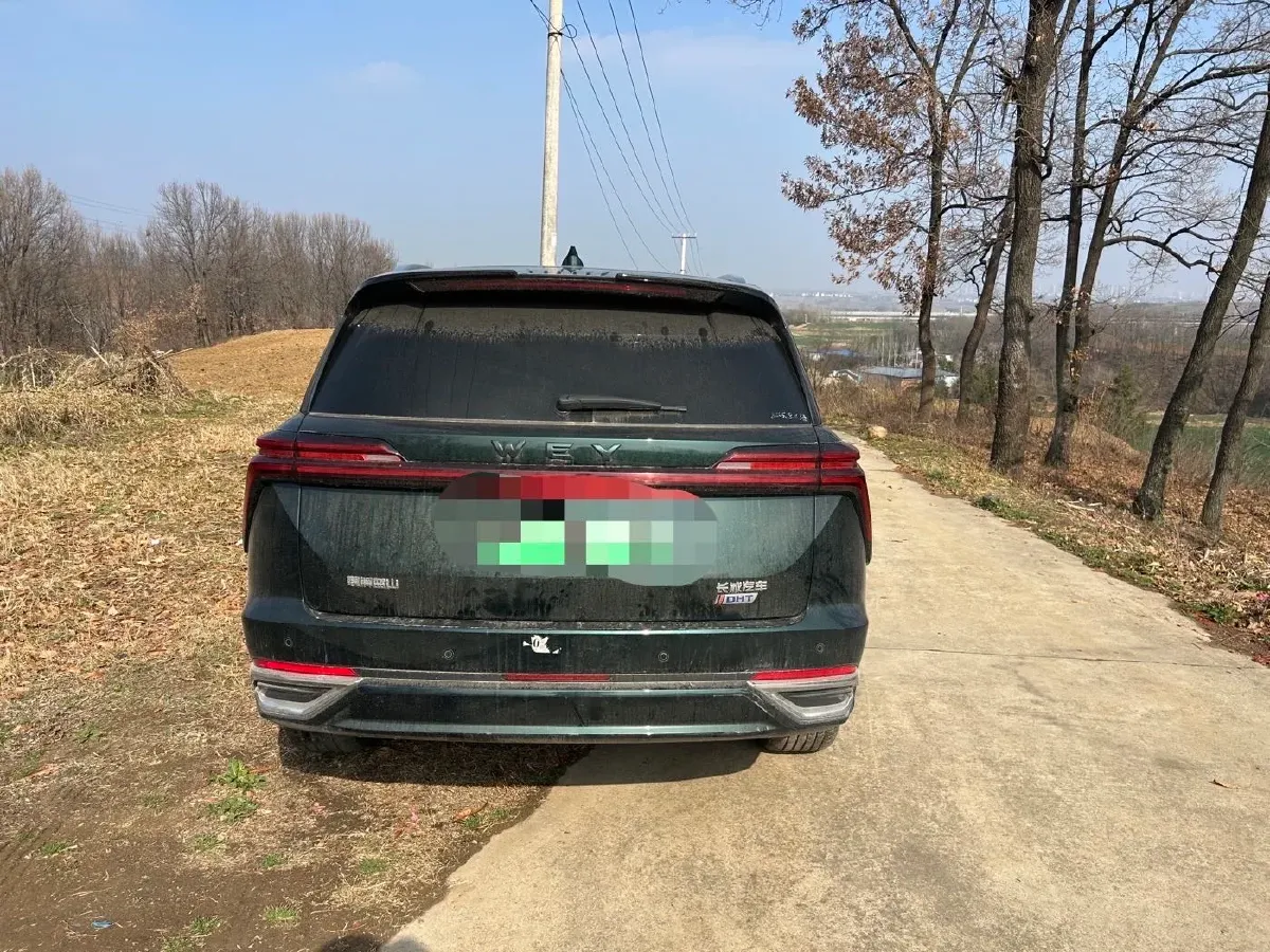 2023 WEY BlueMountain 1.5T 154HP L4 2DHT PHEV 44.5KWH,autocango,china used car exporter,china ev exporter,chinese used car exporter,chinese used ev exporter