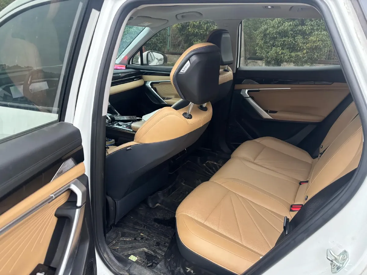 2023 Geely StarRay 2.0T 218HP L4 7DCT,autocango,china used car exporter,china ev exporter,chinese used car exporter,chinese used ev exporter