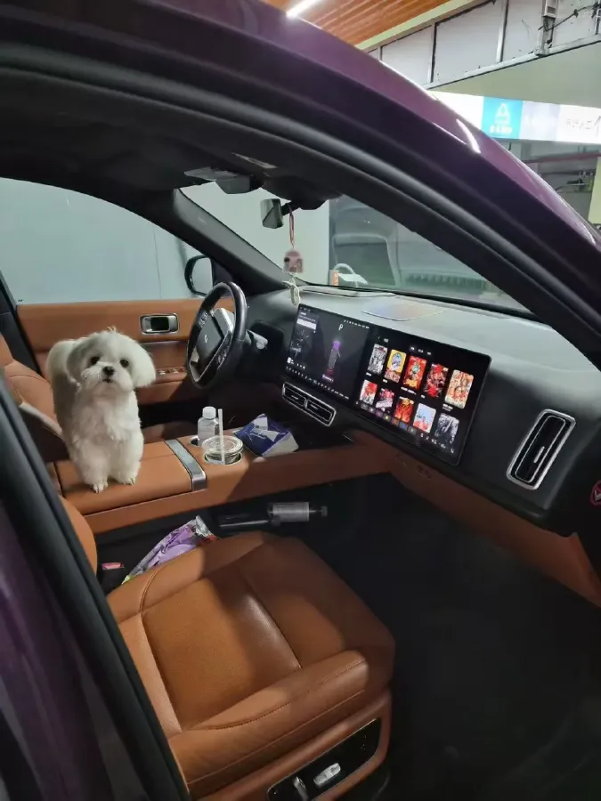 2022 Li L9 Range Extended 154HP REEV 42.6KWH,autocango,china used car exporter,china ev exporter,chinese used car exporter,chinese used ev exporter