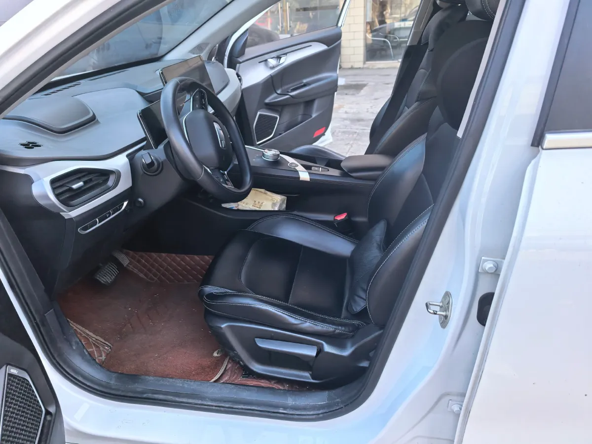 2021 Geometry A BEV 53KWH,autocango,china used car exporter,china ev exporter,chinese used car exporter,chinese used ev exporter