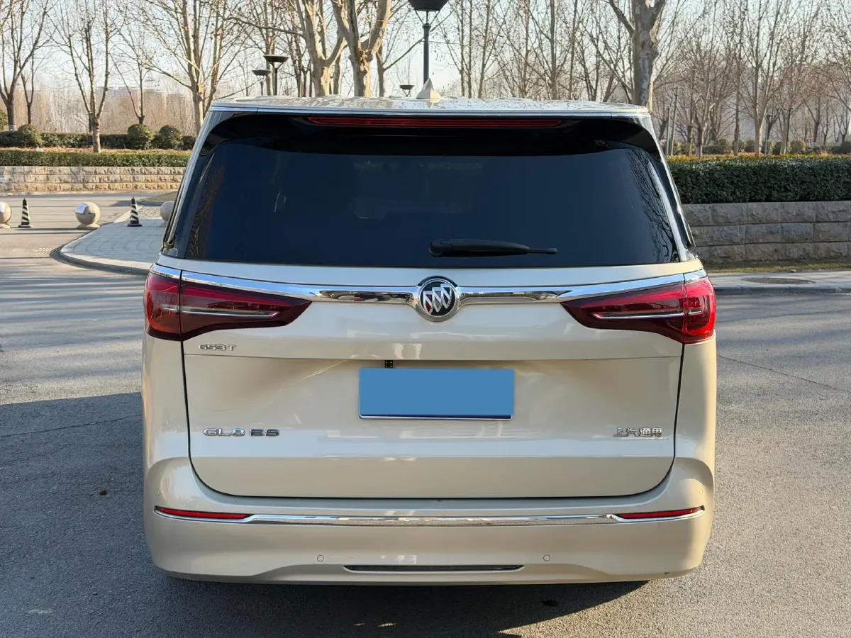 2021 Buick GL8 2.0T 237HP L4 9AT,autocango,china used car exporter,china ev exporter,chinese used car exporter,chinese used ev exporter