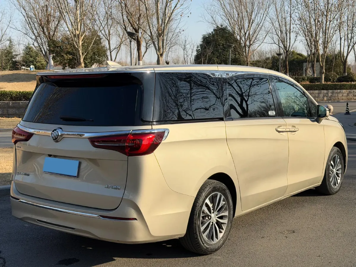 2021 Buick GL8 2.0T 237HP L4 9AT,autocango,china used car exporter,china ev exporter,chinese used car exporter,chinese used ev exporter
