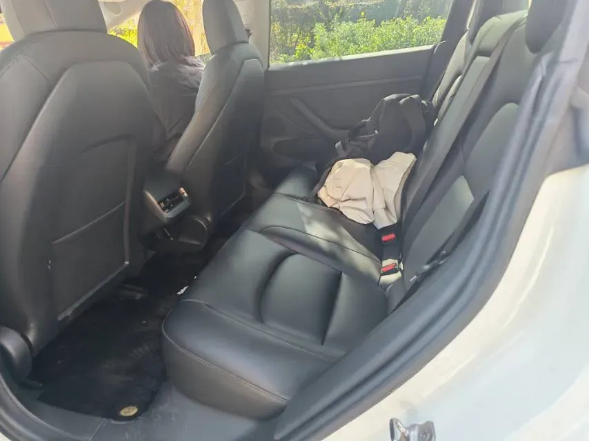 2021 Tesla Model 3 BEV 55KWH,autocango,china used car exporter,china ev exporter,chinese used car exporter,chinese used ev exporter