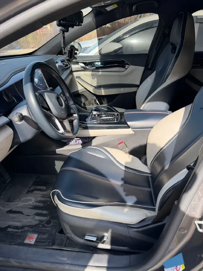 2021 DongFeng FuKang e Elysee BEV 38.4KWH,autocango,china used car exporter,china ev exporter,chinese used car exporter,chinese used ev exporter